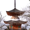 多宝塔と大聖院