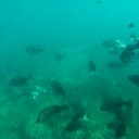 呼子ミニ旅行　その２