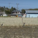 3月28日の日記