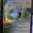 地平線の梢FOILゲット！　