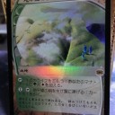 地平線の梢FOILゲット！　