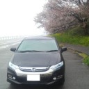 雨の海と桜の花