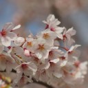 2014年4月6日の日記