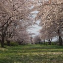 2014年4月6日の日記