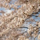2014年4月6日の日記