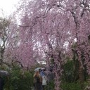 自分探し、なのか？