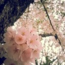 坂の街。