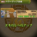 スキラゲ尽くし【パズドラ】