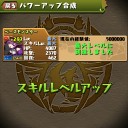スキラゲ尽くし【パズドラ】
