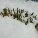 2014年4月11日（金）
