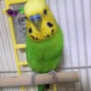 長い１日の旅人♪