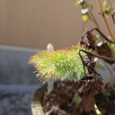 2月に食べたチーズとか