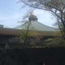 桜は終わってしまったけど
