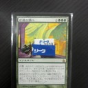 【雑記】おちんぎんしゅごいのおおおおお！！