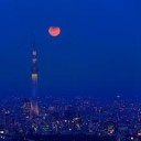 リアルbloodmoon