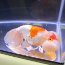 4月12日の日記　その6