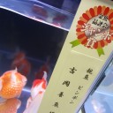 4月12日の日記　その6