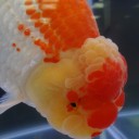 4月12日の日記　その8