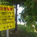 　変われないまま