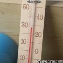 ピア・には色々ある♪　親友とか同僚とか、みんな仲間だ♪
