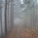 大塚山と御岳山に行ってきた