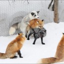 おっ