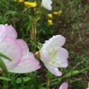 月曜　〓小雨と提出と〓