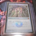 今日のGet品