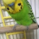 人生楽ありゃ苦もあるさ♪