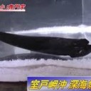 いやなよかん・・・