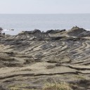 城ヶ島