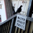 わらった