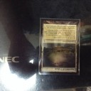 トロウケアの敷石Foil