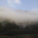 濡れた朝