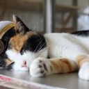 １５さい・・・