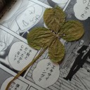 2014年5月1日（木）