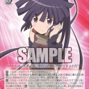 大渦の放浪者にニクスへの旅のカードを混ぜてみた結果