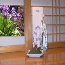 ちょっと早い５月５日