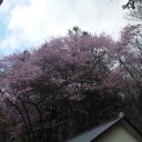 ５月４日
