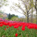 信州に行って来た。