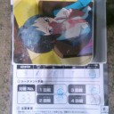 リザードンメガバトル　東日本大会　in　パシフィコ横浜　５／３