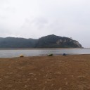 生き物