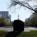 朝の散歩