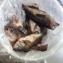 近況