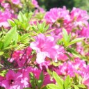 2014年5月11日の日記
