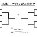 第19回みらチャン杯[2014/5/11]　結果報告