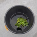 5月16日の日記　飼育337日目