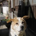 虚ろ