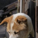 虚ろ