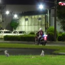 近状報告　“３人と２匹生活始めました”　の巻　